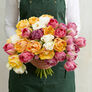 Florist's Choice Mix, Tulip - 10 Bulbs thumbnail number null